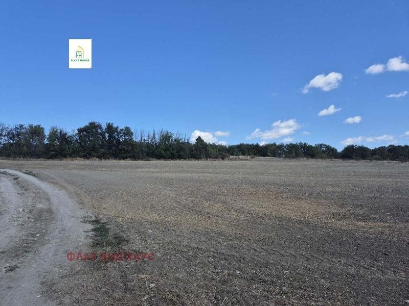 Продаја  Плот регион Варна , Осеново , 8000 м2 | 37673607 - слика [4]