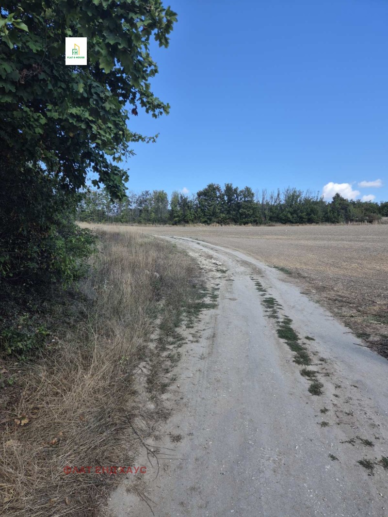 Продаја  Плот регион Варна , Осеново , 8000 м2 | 37673607 - слика [2]