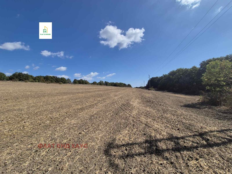 Продаја  Плот регион Варна , Осеново , 8000 м2 | 37673607