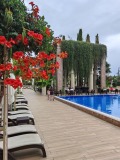 Продава 2-СТАЕН, град Варна, к.к. Златни пясъци • 170000 € • 65180410 — Holmes.bg