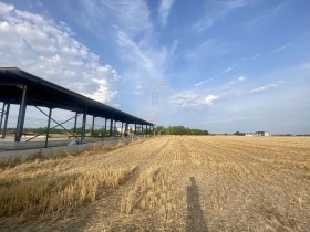 Tierra Stroevo, región Plovdiv 1