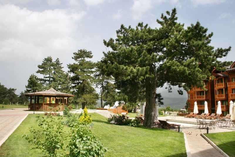 À venda  Estúdio região Blagoevgrad , Razlog , 50 m² | 73484931 - imagem [2]