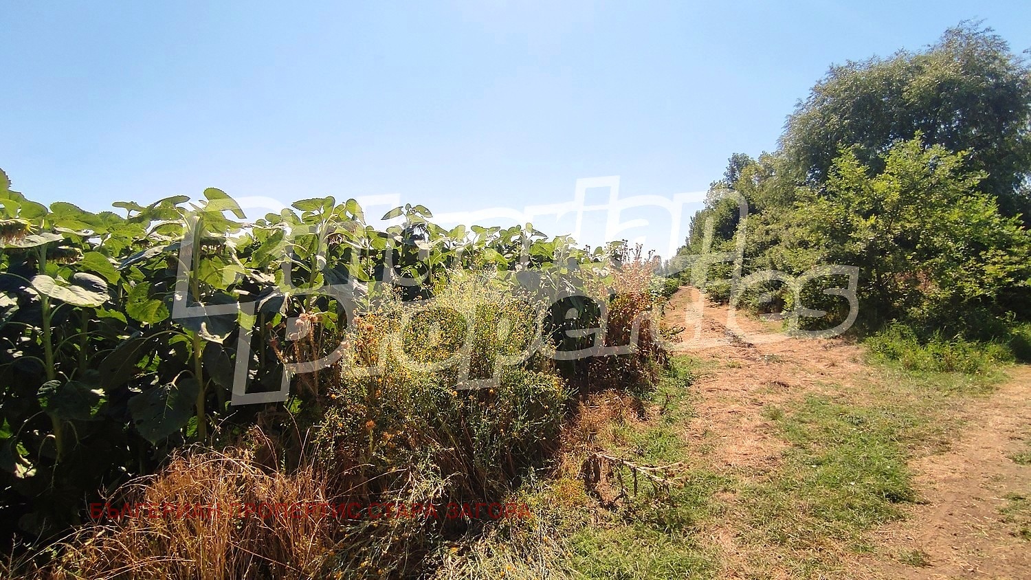 ������� ������ | Imot.bg � ����������� 1