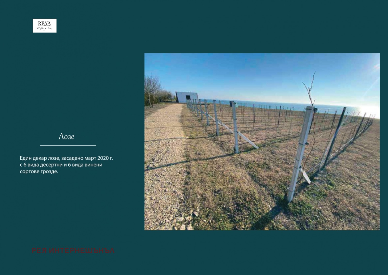 ������� ������������� ������ | Imot.bg � ����������� 15