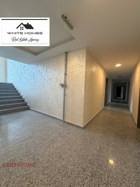 ����� ������� 3-�����,���� �����, �������� ������