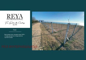 ������� ������������� ������ | Imot.bg � ����� ������ 15