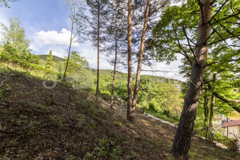In vendita  Complotto regione Pernik , Rudartsi , 780 mq | 51664197 - Immagine [9]
