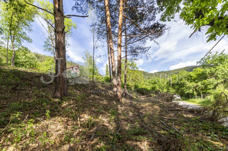 In vendita  Complotto regione Pernik , Rudartsi , 780 mq | 51664197 - Immagine [4]