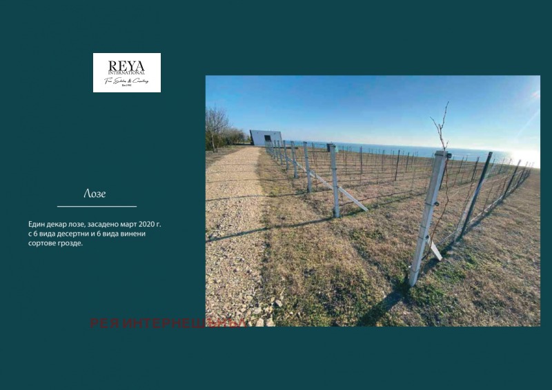 Продава БИЗНЕС ИМОТ, гр. Каварна, област Добрич, снимка 14 - Други - 52873748