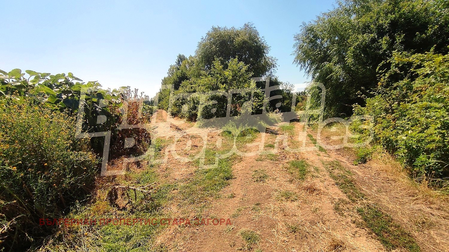 Продава ПАРЦЕЛ, с. Малко Кадиево, област Стара Загора, снимка 2 - Парцели - 53613058