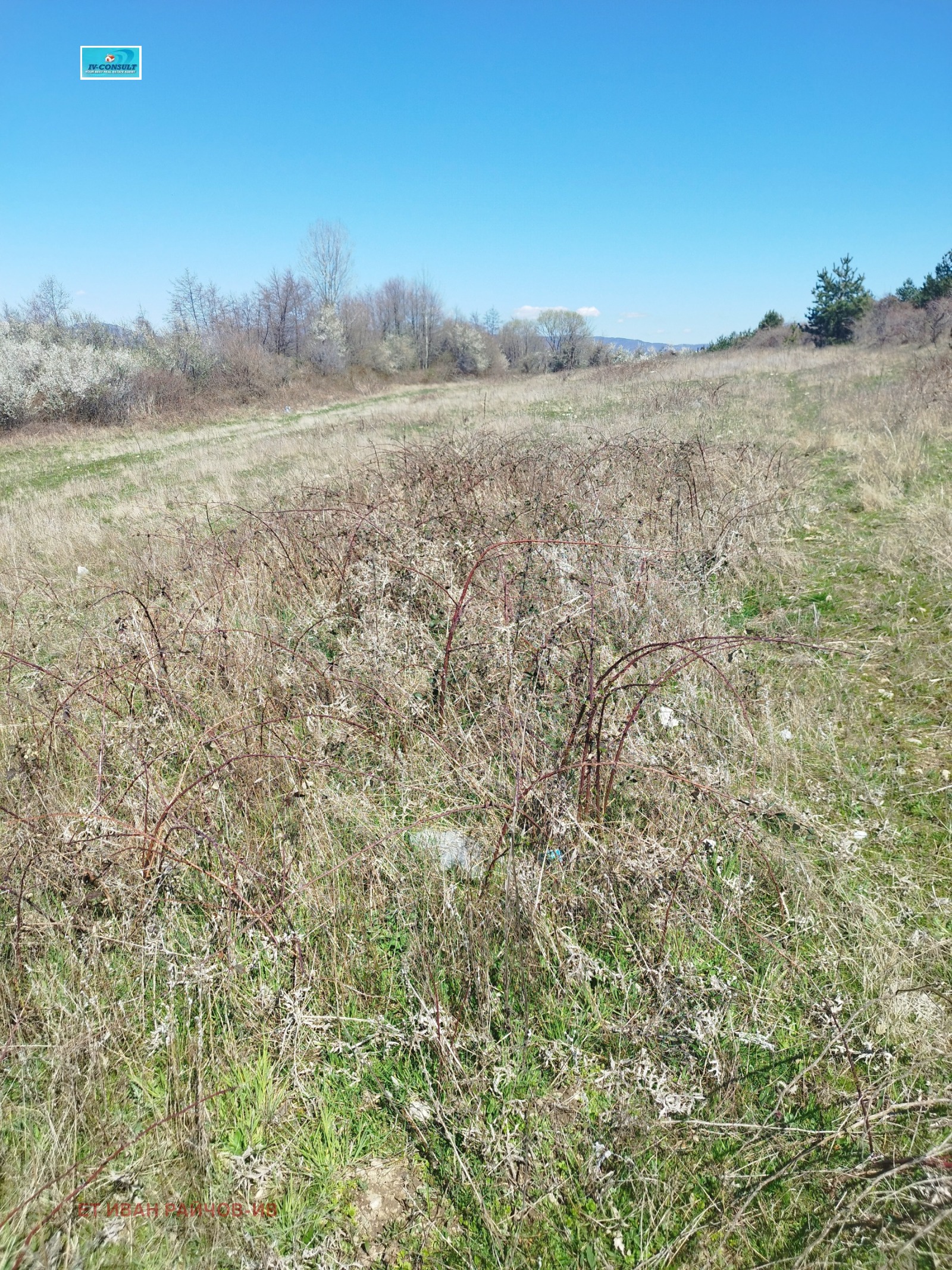 Продава ЗЕМЕДЕЛСКА ЗЕМЯ, с. Ресилово, област Кюстендил, снимка 6 - Земеделска земя - 54141709