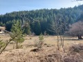 Продава ПАРЦЕЛ, гр. Банско, област Благоевград, снимка 5