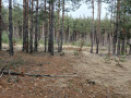 Продава ПАРЦЕЛ, област Благоевград, гр. Разлог • 28700 € • 80305610 — Holmes.bg