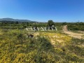 Продава ПАРЦЕЛ, област Перник, с. Драгичево • 32000 € • 62723640 — Holmes.bg