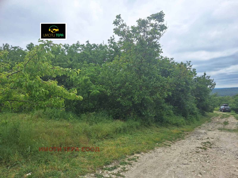 Продава  Парцел област Варна , с. Здравец , 900 кв.м | 32116293 - изображение [6]