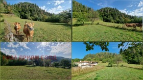������� ���� | Imot.bg � ����� ������ 16