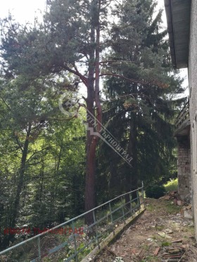 Hotell Jabalka, Gabrovo 6