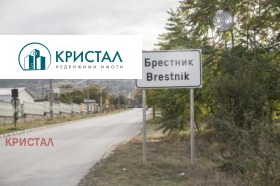 Продава парцел област Пловдив с. Брестник - [1] 