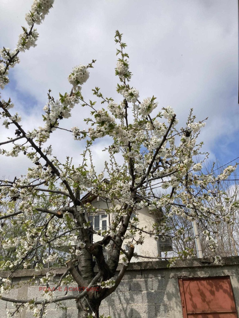 Zu verkaufen  Haus region Plowdiw , Karadschowo , 80 qm | 97566427 - Bild [13]