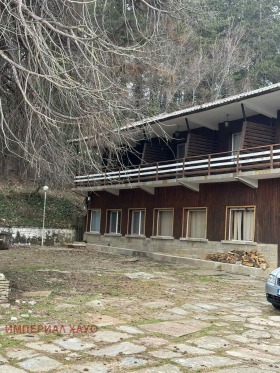 ����� ������� �����,��. �����������, ������ �������