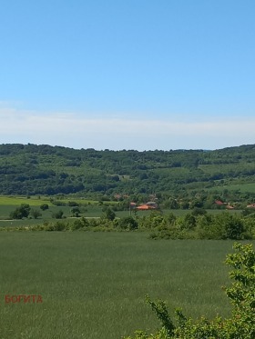 ����� ������� ������,�. �����, ������ ����� ������