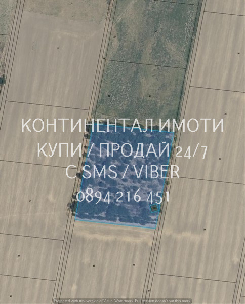 Til salg  Jord region Pazardzhik , Malo Konare , 12 dka | 80329386