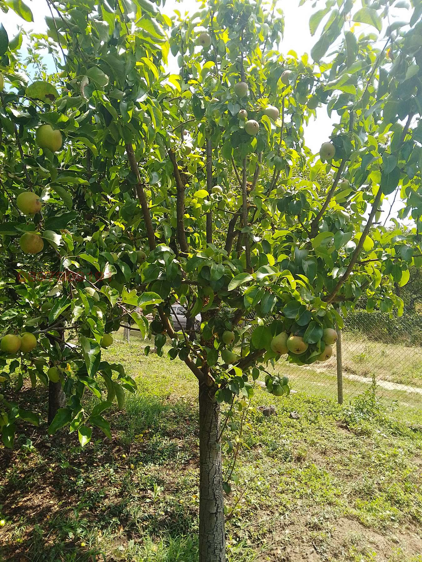 Продава ВИЛА, с. Щипско, област Варна, снимка 5 - Вили - 55418906