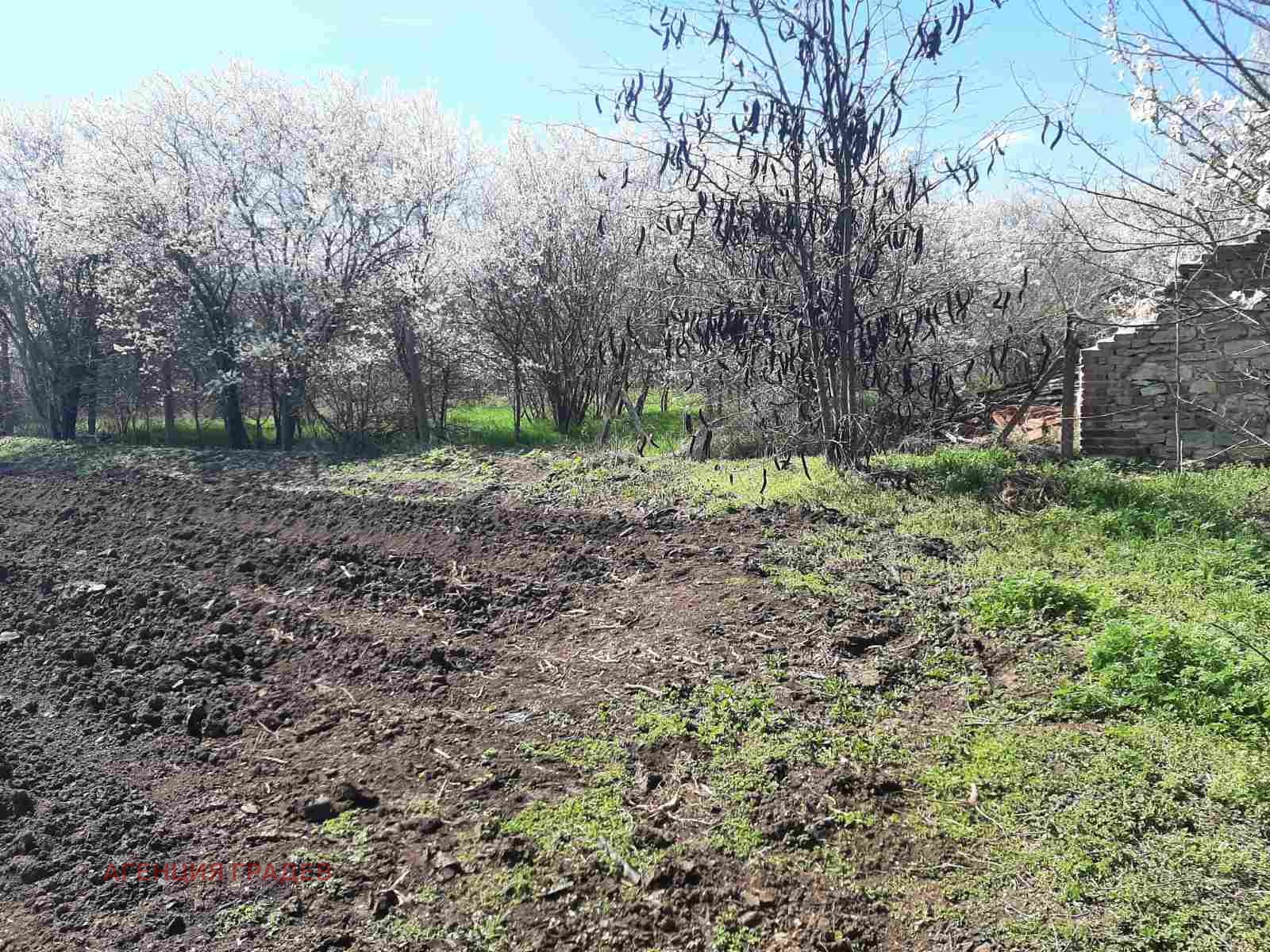 Продава ПАРЦЕЛ, с. Поручик Чунчево, област Добрич, снимка 2 - Парцели - 45079060