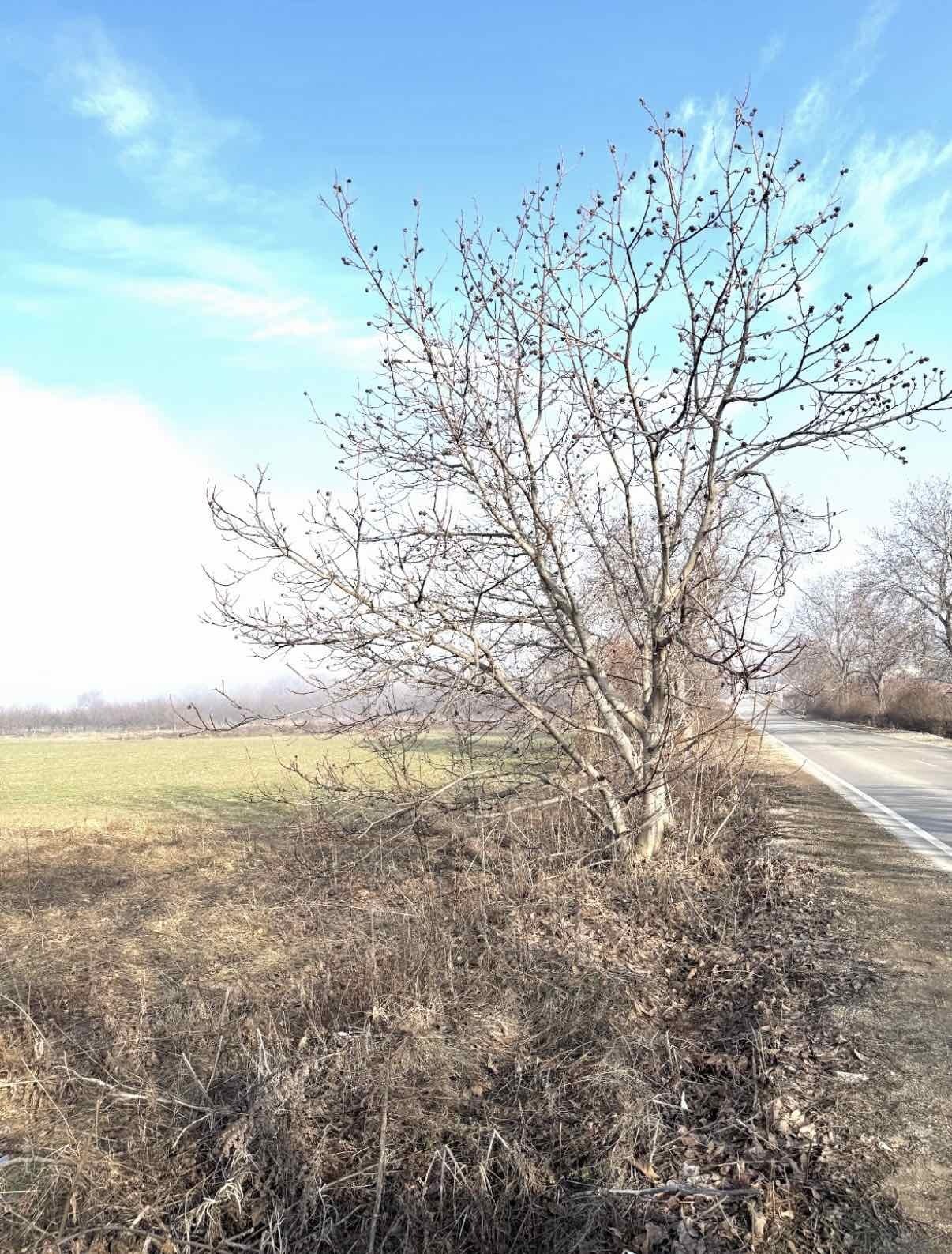 ������� ���������� ���� | Imot.bg � ����������� 1