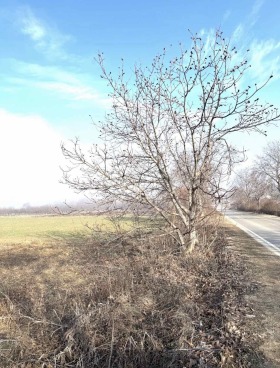 ������� ���������� ���� | Imot.bg � ����� ������ 2