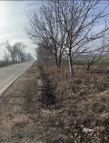 Продава  Земеделска земя област Пловдив , гр. Перущица , 1060 дка | 50413118 - изображение [3]