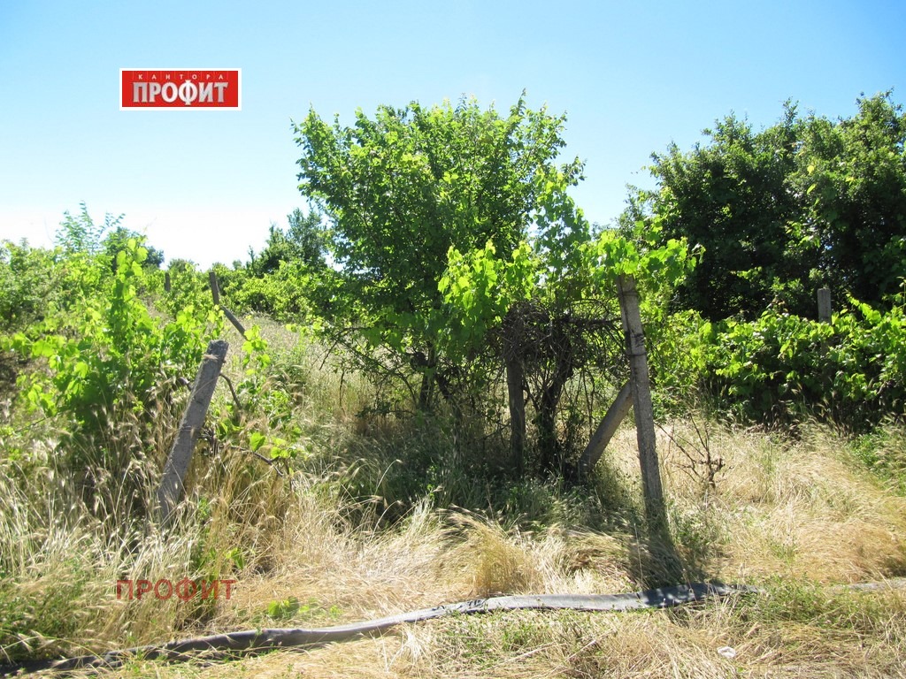 ������� ������ | Imot.bg � ����������� 4