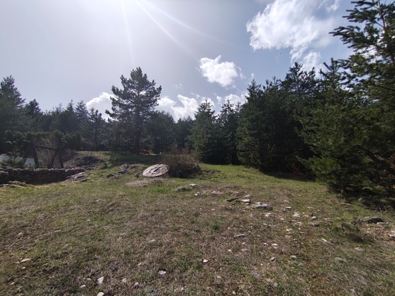 Продава ПАРЦЕЛ, гр. Банско, област Благоевград, снимка 9 - Парцели - 52476562