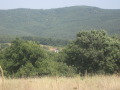 Продава ЗЕМЕДЕЛСКА ЗЕМЯ, с. Пчелин, област София област, снимка 2