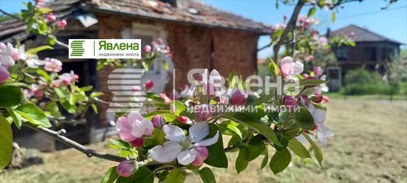 ������� ���� | Imot.bg � ����������� 1