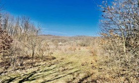 ������� ������ | Imot.bg � ����� ������ 11