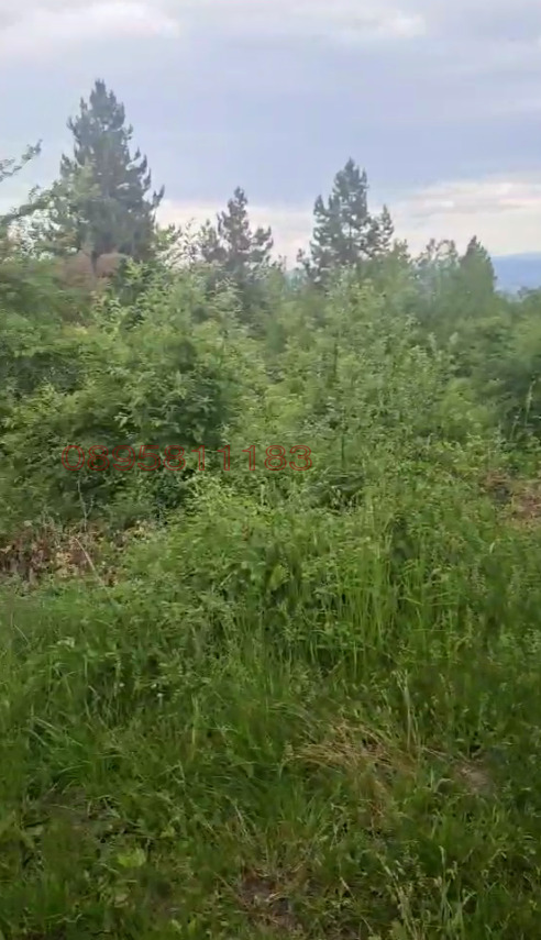 Продава ПАРЦЕЛ, гр. София, с. Герман, снимка 3 - Парцели - 55077565