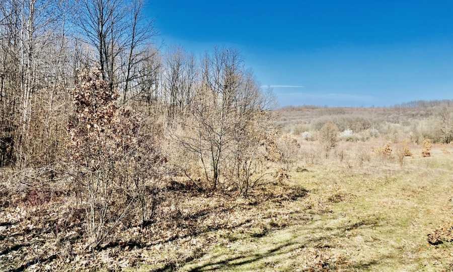 Продава ПАРЦЕЛ, гр. Дряново, област Габрово, снимка 12 - Парцели - 56727439