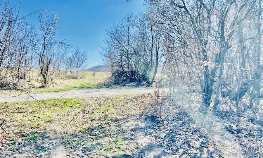 Продава ПАРЦЕЛ, гр. Дряново, област Габрово, снимка 15 - Парцели - 56727439