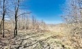 Продава ПАРЦЕЛ, гр. Дряново, област Габрово, снимка 10