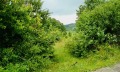 Продава ПАРЦЕЛ, гр. Дряново, област Габрово, снимка 4
