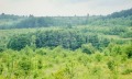 Продава ПАРЦЕЛ, гр. Дряново, област Габрово, снимка 6