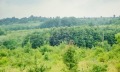 Продава ПАРЦЕЛ, гр. Дряново, област Габрово, снимка 7