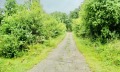 Продава ПАРЦЕЛ, гр. Дряново, област Габрово, снимка 2