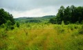 Продава ПАРЦЕЛ, гр. Дряново, област Габрово, снимка 5
