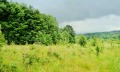 Продава ПАРЦЕЛ, гр. Дряново, област Габрово, снимка 3