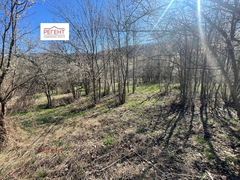 Продава ПАРЦЕЛ в област Габрово, с. Лесичарка - 804 кв.м / 10 276.97 € » 20 100 лв., РЕГЕНТ