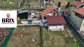 ����� ������� ����,�. ��������, ������ ����