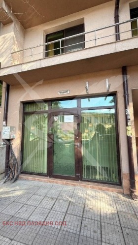 ����� ������� ����,���� �������, ������