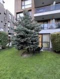 Продава 2-СТАЕН, гр. Варна, м-т Евксиноград, снимка 11